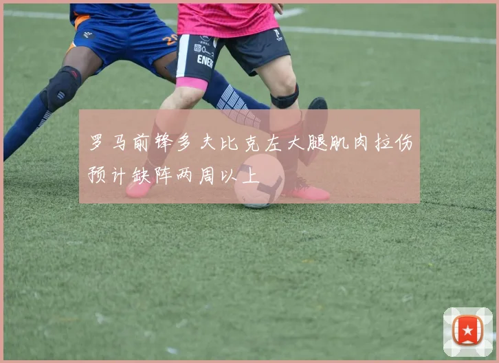 罗马前锋多夫比克左大腿肌肉拉伤预计缺阵两周以上