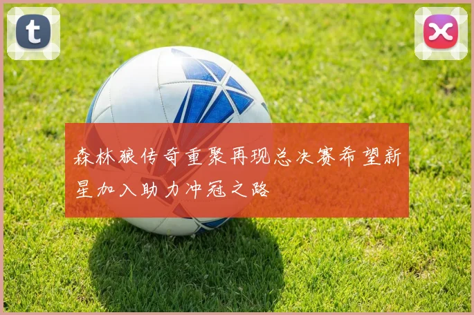森林狼传奇重聚再现总决赛希望新星加入助力冲冠之路