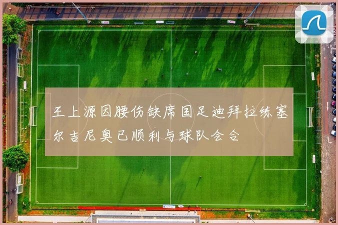 王上源因腰伤缺席国足迪拜拉练塞尔吉尼奥已顺利与球队会合