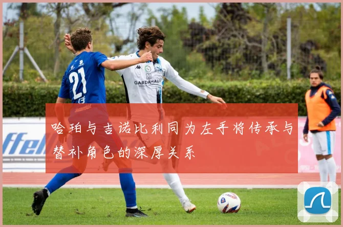 哈珀与吉诺比利同为左手将传承与替补角色的深厚关系